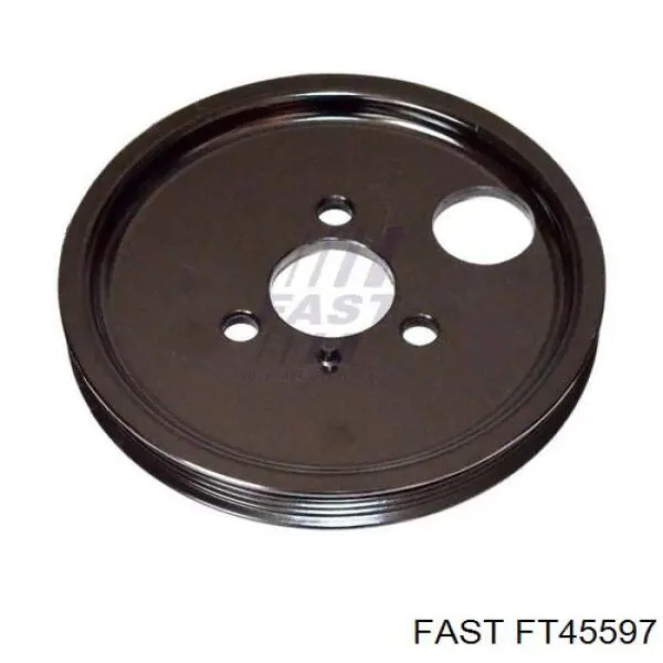 FT45597 Fast шків насосу гідропідсилювача керма (гпк)
