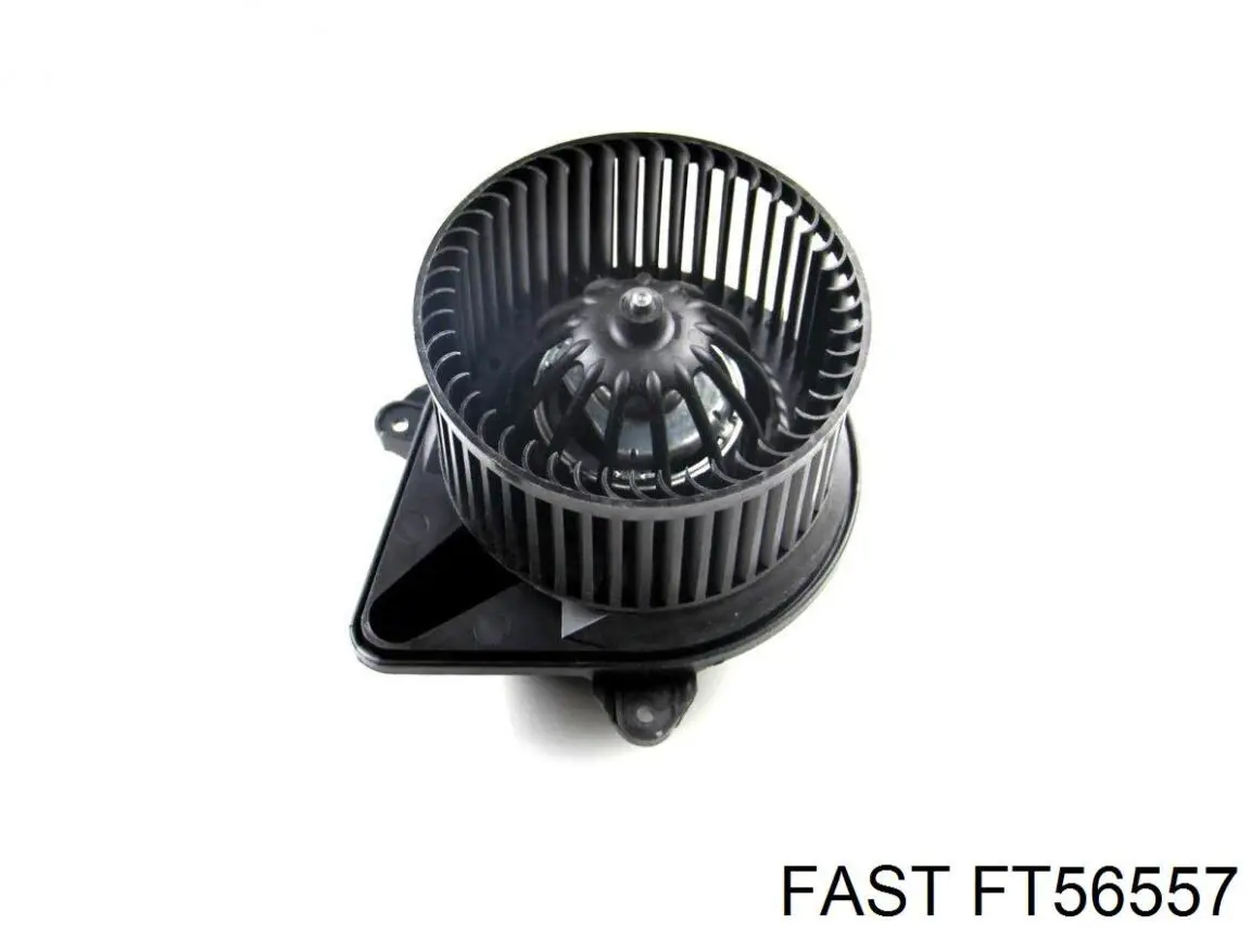 FT56557 Fast Електромотор пічки