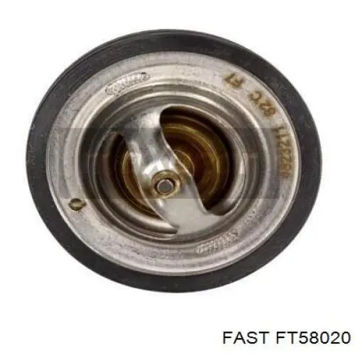 FT58020 Fast Авто термостат