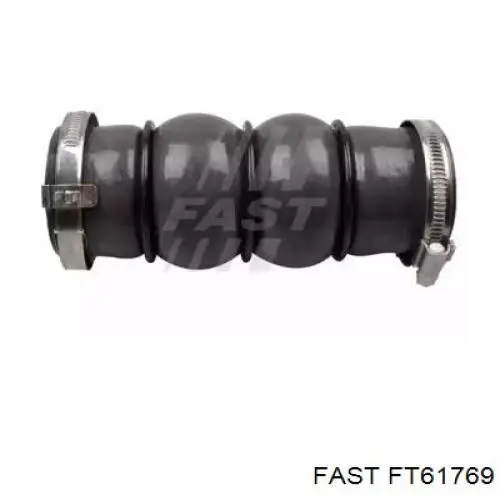 Шланг/патрубок интеркуллера Fast FT61769 ціна, від 22.41 USD