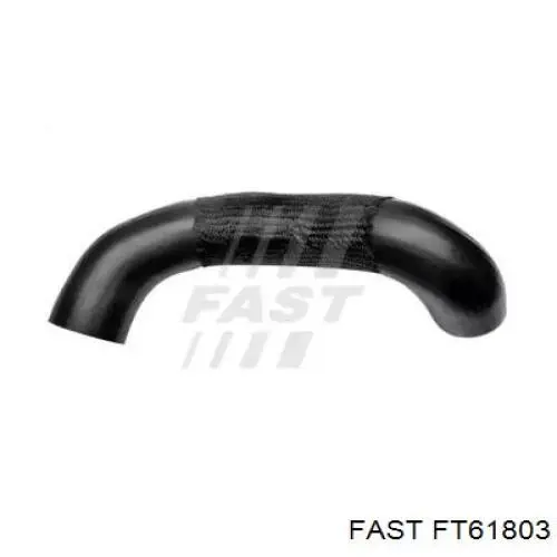 Шланг/патрубок интеркуллера Fast FT61803 ціна, від 19.34 USD