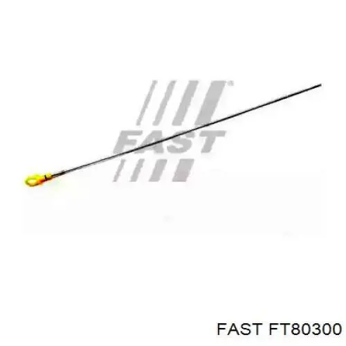 Купити FT80300 Fast Щуп рівня олії