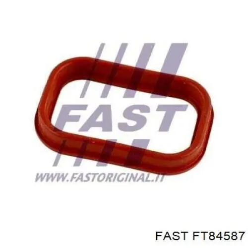 Купити FT84587 Fast Прокладка штанів