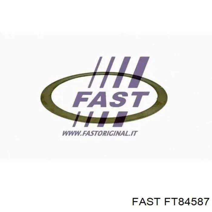Кільце приймальні труби глушника ущільнювача Fast FT84587 ціна, від 2.45 USD