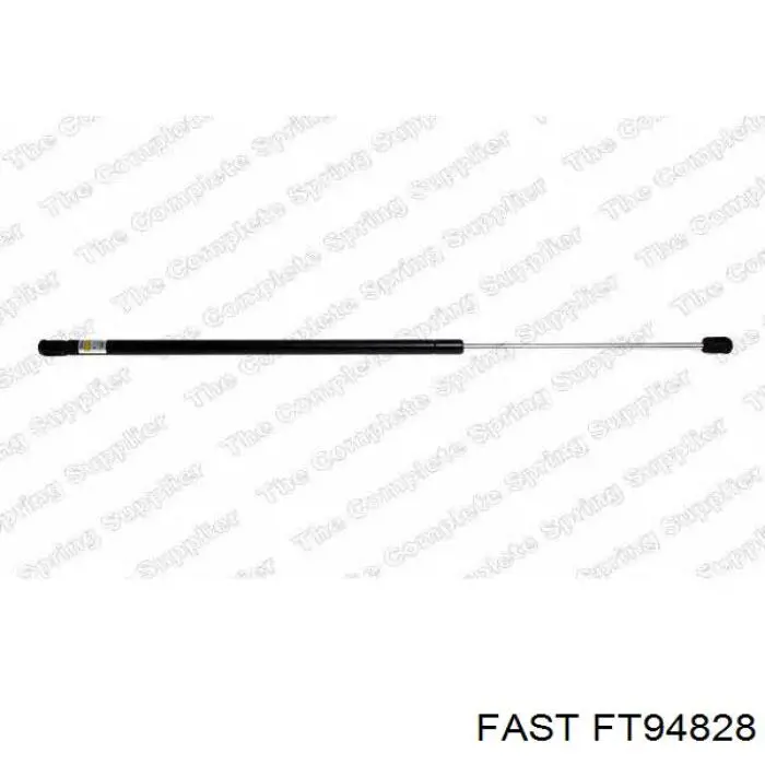 Амортизатор двері задньої Fast FT94828 ціна, від 9.11 USD
