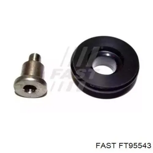 FT95543 Fast 