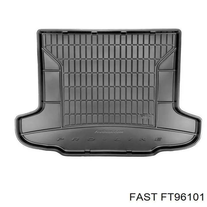 Купити FT96101 Fast 