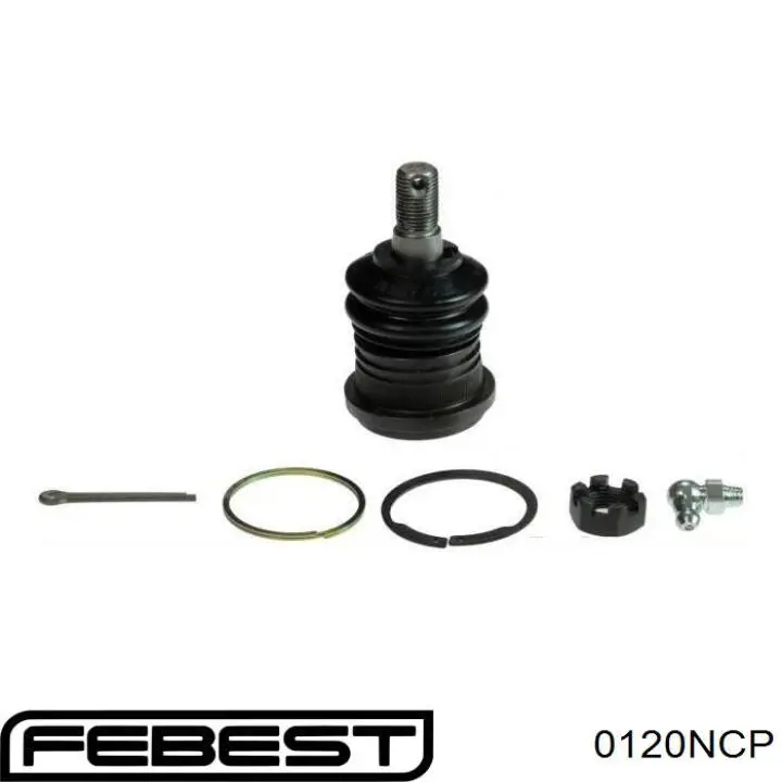 Кульова опора, нижня Febest 0120NCP ціна, від 7.36 USD