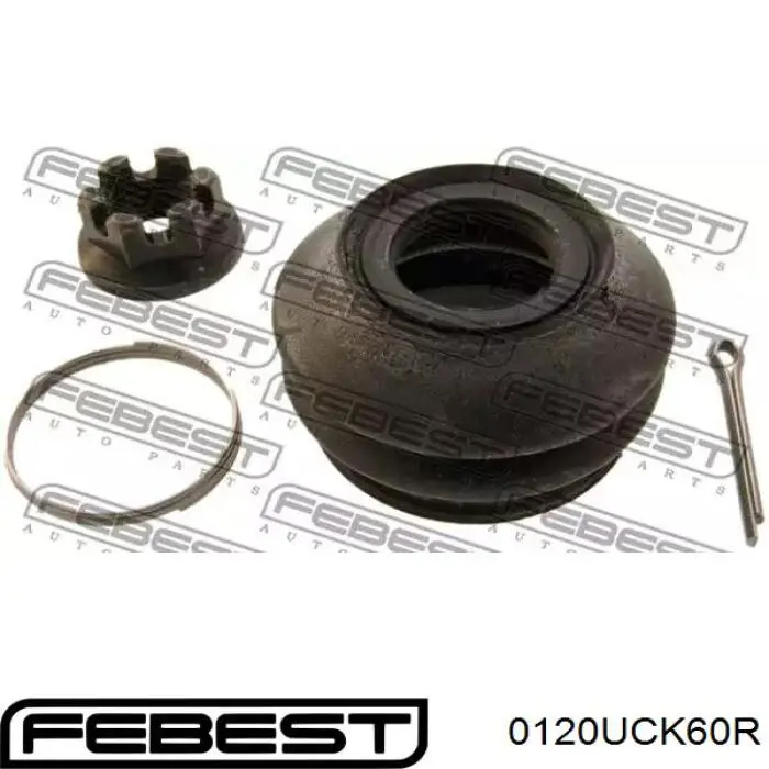 Купити 0120UCK60R Febest Шарова опора задньої підвіски, нижня