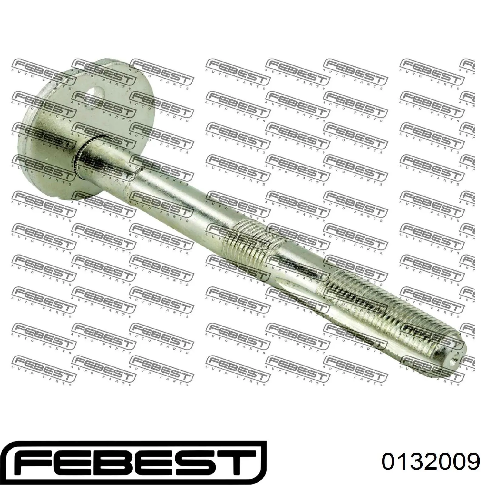  0132009 Febest