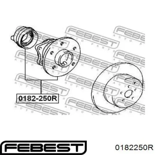 Маточина задня 0182250R Febest