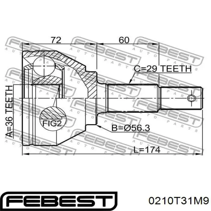 Купити 0210T31M9 Febest Шарнір приводу зовнішній