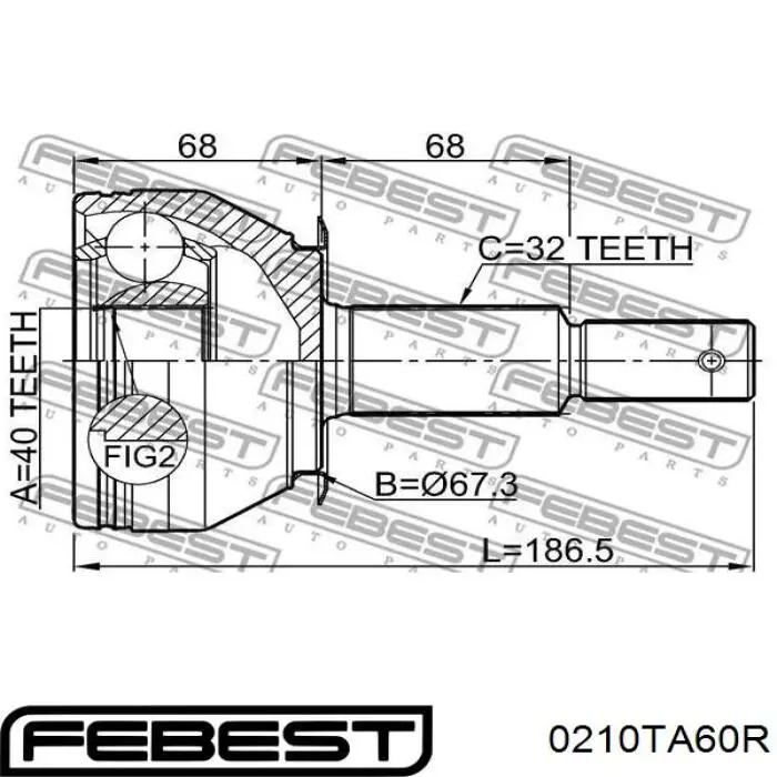 ШРУС зовнішній задній 0210TA60R Febest