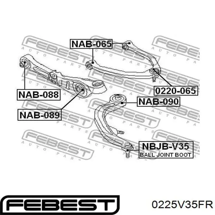 Важіль передньої підвіски нижній, правий Febest 0225V35FR ціна, від 68.08 USD