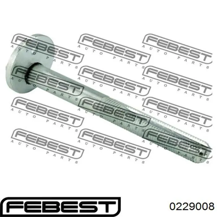 Болт заднього продольно важеля, розвальний Febest 0229008 ціна, від 7.05 USD