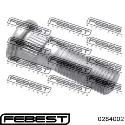 0284002 Febest Болт маточини