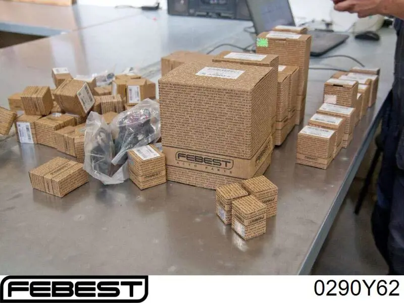 Купити 0290Y62 Febest Натягувач приводного ременя