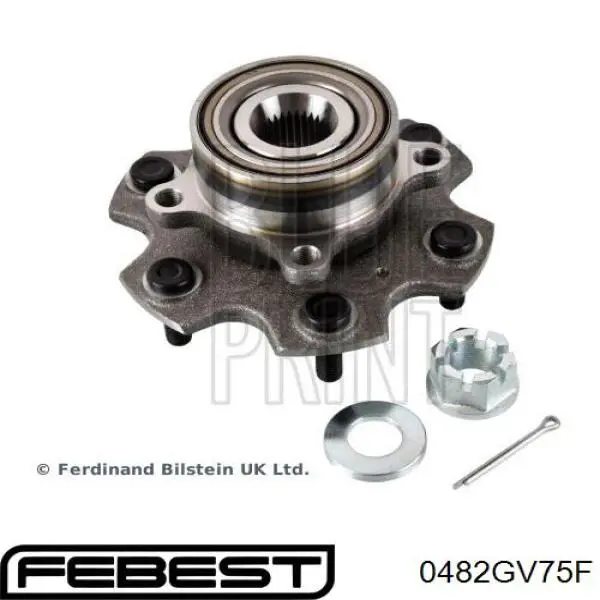 Купити 0482GV75F Febest Підшипник ступиці передньої