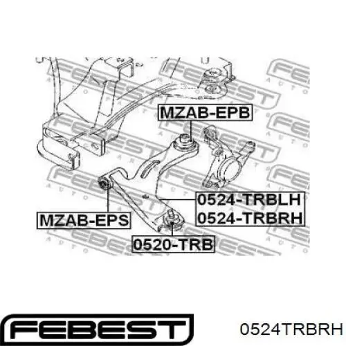 Важіль передньої підвіски нижній, правий 0524TRBRH Febest