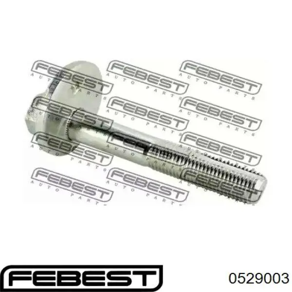 Купити 0529003 Febest Болт кріплення заднього нижнього важеля, внутрішній