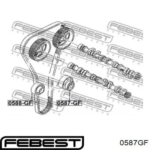 Ролик ГРМ Febest 0587GF