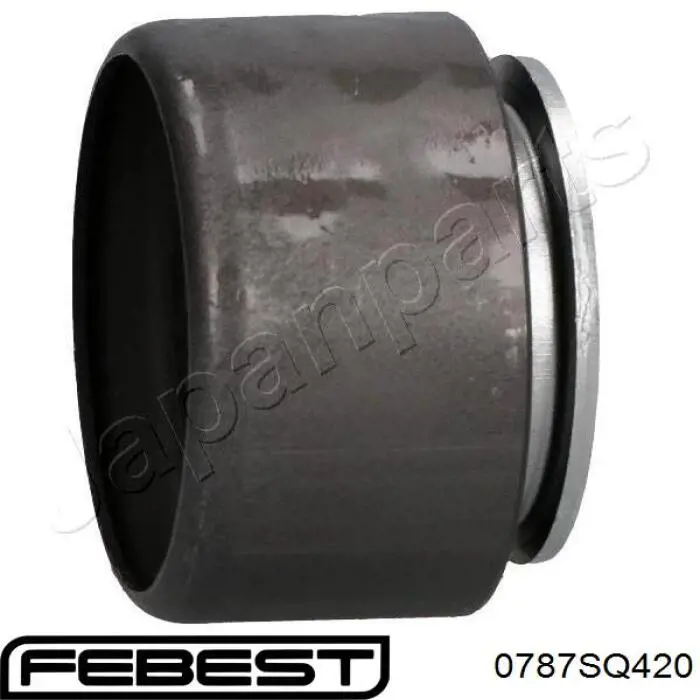 Ролик ГРМ Febest 0787SQ420