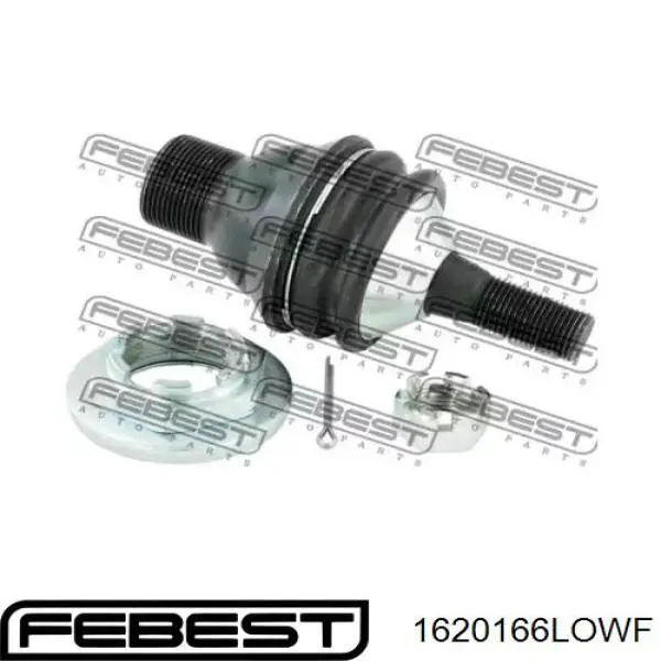 Кульова опора, нижня Febest 1620166LOWF ціна, від 16.17 USD