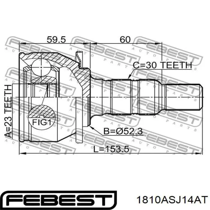 ШРУС зовнішній передній 1810ASJ14AT Febest