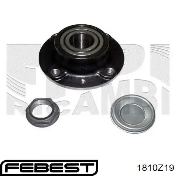 1810Z19 Febest Граната зовнішня