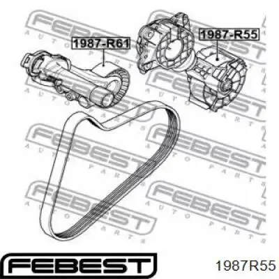 Ролик натягувача приводного ременя Febest 1987R55
