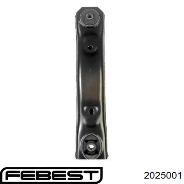  2025001 Febest