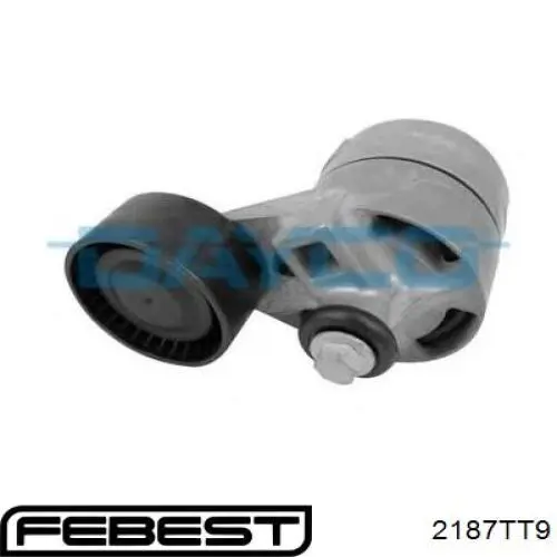 Купити FT44623 Fast Натяжний ролик