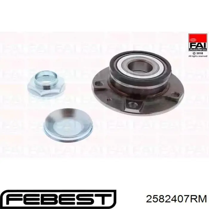 Задня маточина 2582407RM Febest