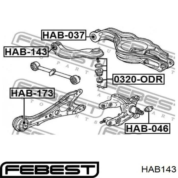 Купити HAB143 Febest Сайлентблок заднього верхнього важеля