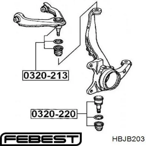 Купити HBJB203 Febest Кульова опора, нижня