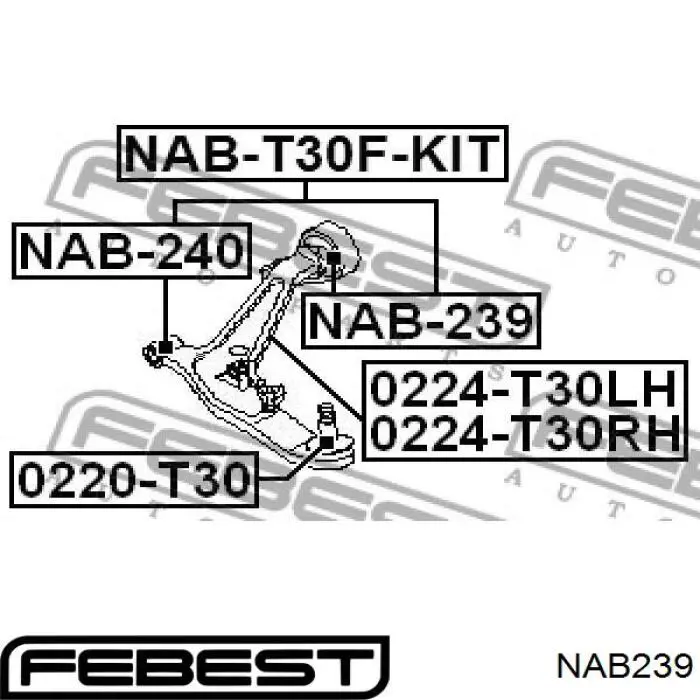 Сайлентблок переднього важеля NAB239 Febest