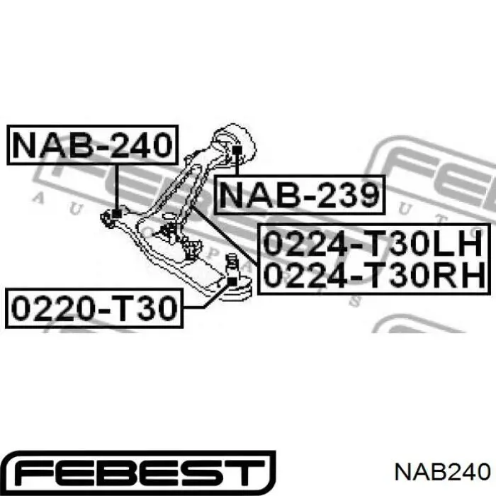 NAB240 Febest Сайлентблок переднього нижнього важеля