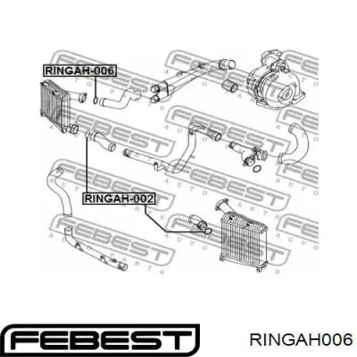 Кільце ущільнювача патрубка интеркуллера RINGAH006 Febest