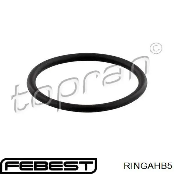 Ущільнююче кільце масловідділювача картерних газів Volkswagen Passat (B6, 3C2) (Фольцваген Пассат)