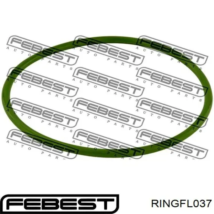 Прокладка датчика рівня (топл.бак) Febest RINGFL037 ціна, від 15.83 USD