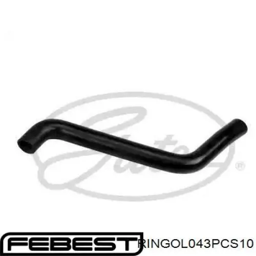 Купити 7703065106 Renault (RVI) Кільце насосу гідроусіслітеля керма