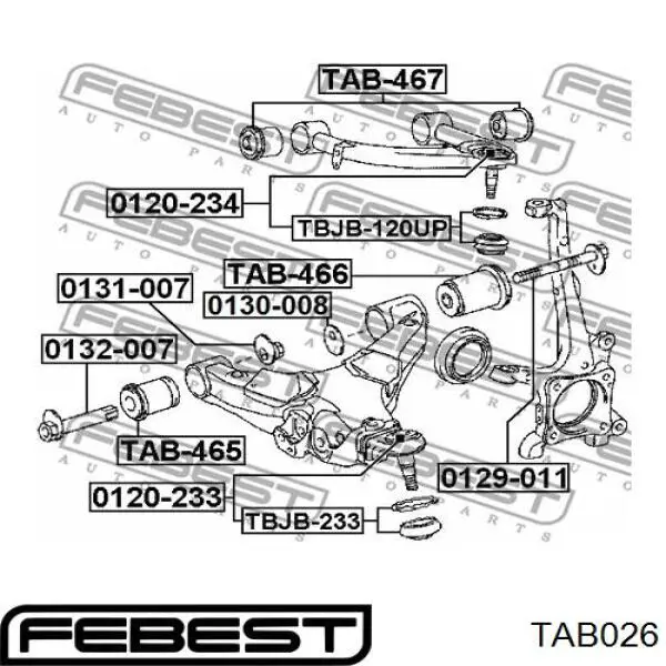 Купити TAB026 Febest Сайлентблок заднього нижнього важеля
