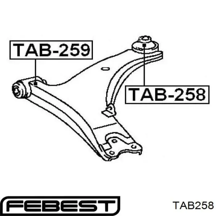 Сайлентблок переднього нижнього важеля T24TE94WB RBI