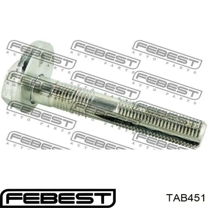 Сайлентблок заднього нижнього важеля TAB451 Febest
