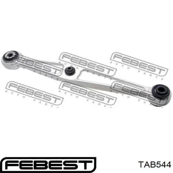 Сайлентблок заднього нижнього важеля TAB544 Febest