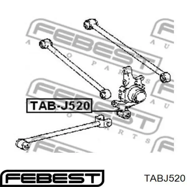 Сайлентблок цапфи задньої TABJ520 Febest