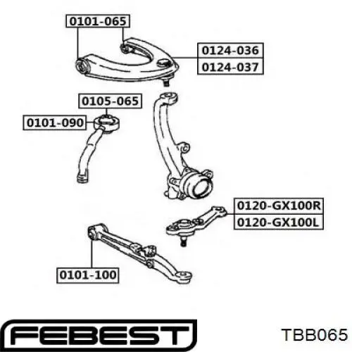 Купити TBB065 Febest Пильник опори кульової нижній