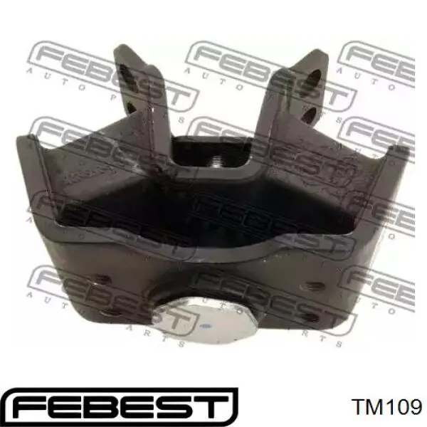 Купити TM109 Febest Задня опора двигуна