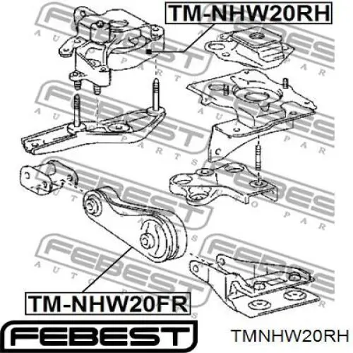 TMNHW20RH Febest подушка (опора двигуна, права)