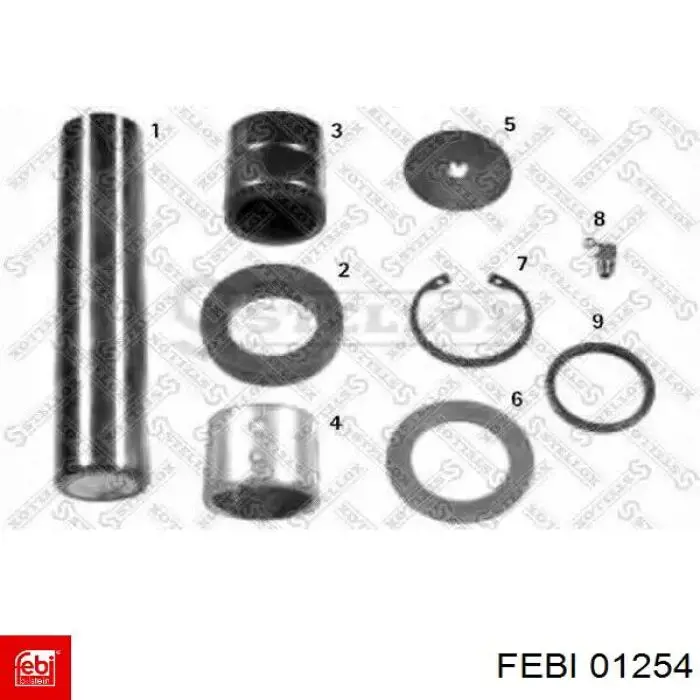 Ремкомплект шкворня поворотного кулака 01254 Febi